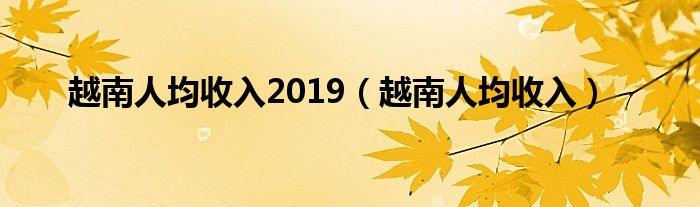 越南人均收入2019(越南人均收入)