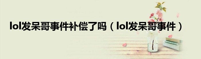 lol发呆哥事件补偿了吗(lol发呆哥事件)