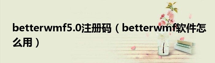 betterwmf5.0注册码(betterwmf软件怎么用)