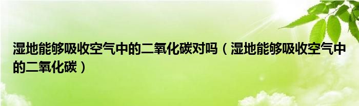 湿地能够吸收空气中的二氧化碳对吗(湿地能够吸收空气中的二氧化碳)