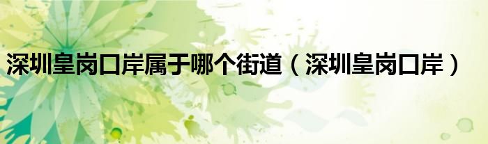 深圳皇岗口岸属于哪个街道(深圳皇岗口岸)