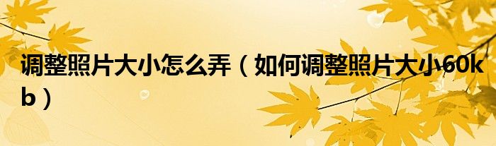 调整照片大小怎么弄(如何调整照片大小60kb)
