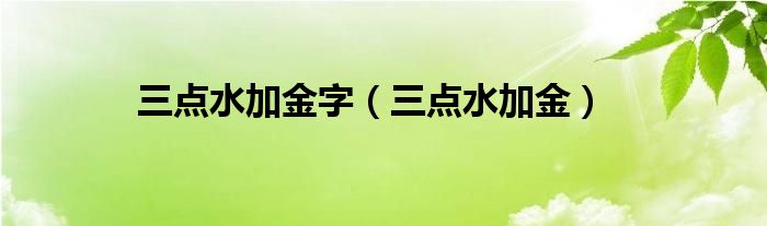 三点水加金字（三点水加金）