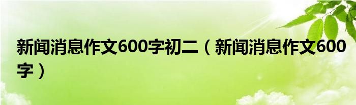 新闻消息作文600字初二(新闻消息作文600字)