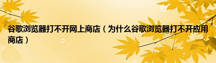 谷歌浏览器打不开网上商店(为什么谷歌浏览器打不开应用商店)