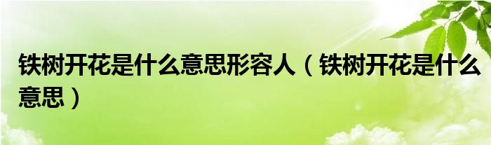 铁树开花是什么意思形容人(铁树开花是什么意思)