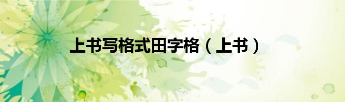 上书写格式田字格(上书)
