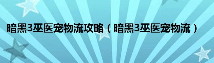 暗黑3巫医宠物流攻略(暗黑3巫医宠物流)