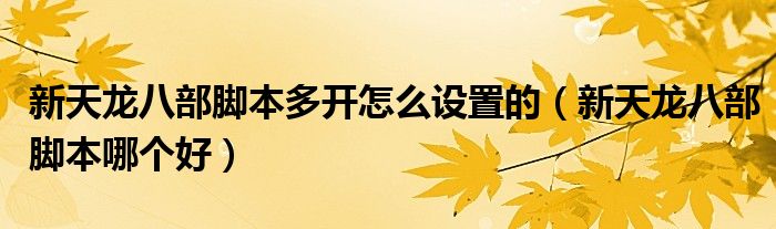 新天龙八部脚本多开怎么设置的(新天龙八部脚本哪个好)