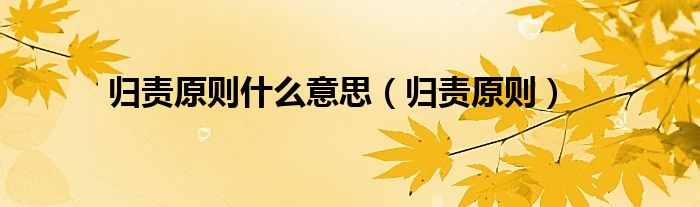 归责原则什么意思(归责原则)
