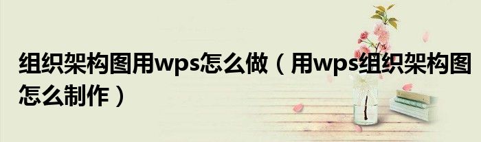 组织架构图用wps怎么做(用wps组织架构图怎么制作)