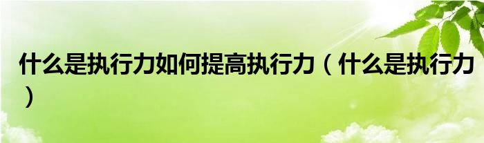 什么是执行力如何提高执行力(什么是执行力)