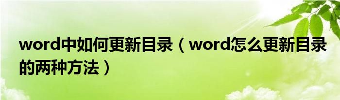 word中如何更新目录(word怎么更新目录的两种方法)