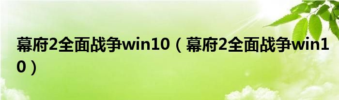 幕府2全面战争win10(幕府2全面战争win10)