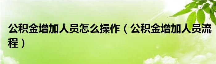 公积金增加人员怎么操作(公积金增加人员流程)
