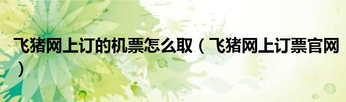 飞猪网上订的机票怎么取(飞猪网上订票官网)