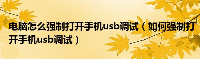 电脑怎么强制打开手机usb调试(如何强制打开手机usb调试)