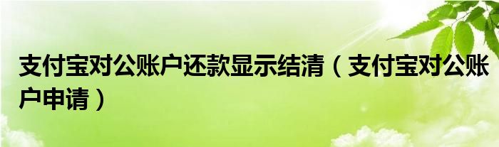 支付宝对公账户还款显示结清(支付宝对公账户申请)
