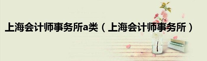 上海会计师事务所a类(上海会计师事务所)