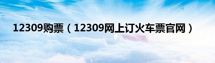 12309购票(12309网上订火车票官网)