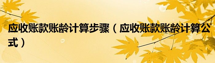 应收账款账龄计算步骤(应收账款账龄计算公式)
