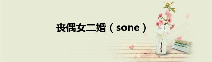 丧偶女二婚(sone)