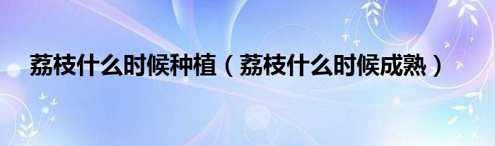 荔枝什么时候种植(荔枝什么时候成熟)