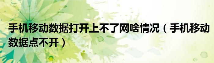 手机移动数据打开上不了网啥情况(手机移动数据点不开)