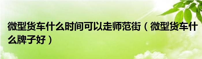 微型货车什么时间可以走师范街(微型货车什么牌子好)