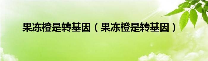 果冻橙是转基因(果冻橙是转基因)