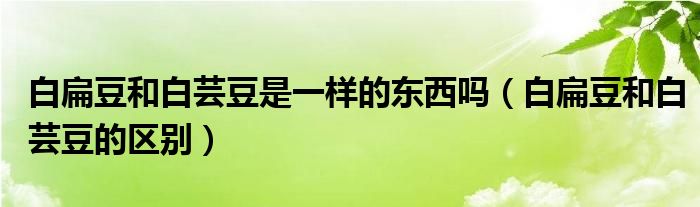 白扁豆和白芸豆是一样的东西吗(白扁豆和白芸豆的区别)