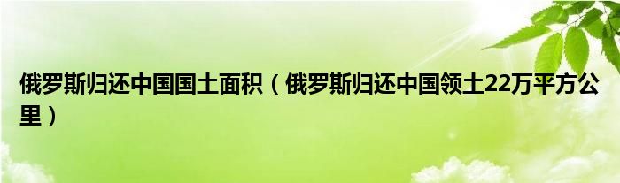 俄罗斯归还中国国土面积(俄罗斯归还中国领土22万平方公里)