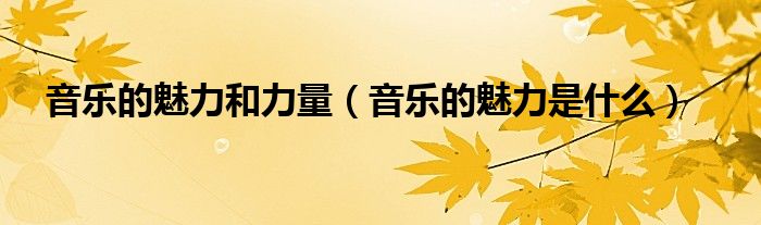 音乐的魅力和力量(音乐的魅力是什么)
