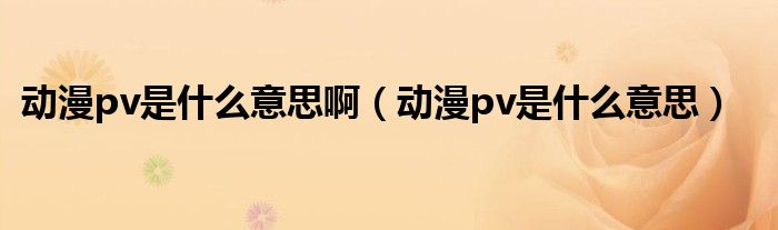 动漫pv是什么意思啊(动漫pv是什么意思)