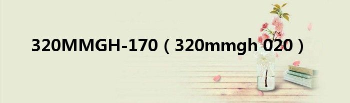 320MMGH-170(320mmgh 020)