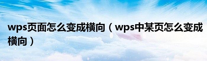 wps页面怎么变成横向(wps中某页怎么变成横向)