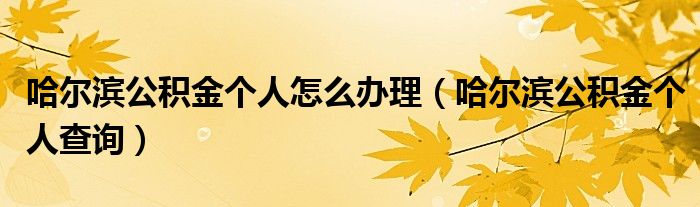 哈尔滨公积金个人怎么办理(哈尔滨公积金个人查询)