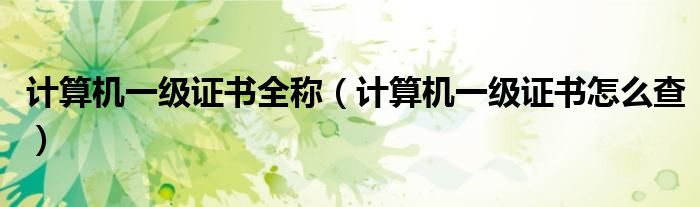 计算机一级证书全称(计算机一级证书怎么查)