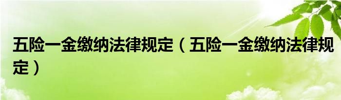 五险一金缴纳法律规定(五险一金缴纳法律规定)