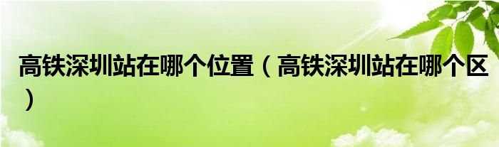 高铁深圳站在哪个位置(高铁深圳站在哪个区)