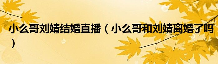 小么哥刘婧结婚直播(小么哥和刘婧离婚了吗)