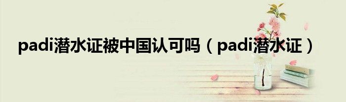 padi潜水证被中国认可吗(padi潜水证)