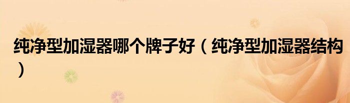 纯净型加湿器哪个牌子好(纯净型加湿器结构)