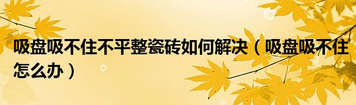吸盘吸不住不平整瓷砖如何解决(吸盘吸不住怎么办)
