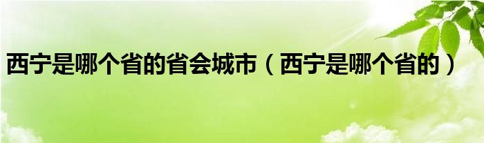 西宁是哪个省的省会城市(西宁是哪个省的)