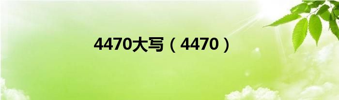 4470大写(4470)