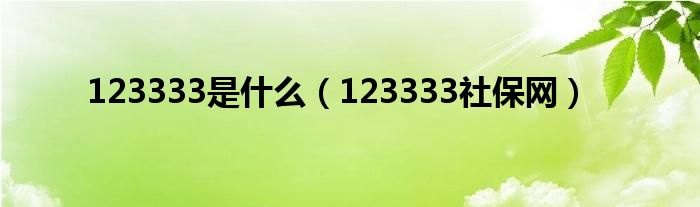 123333是什么(123333社保网)