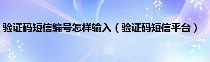 验证码短信编号怎样输入(验证码短信平台)