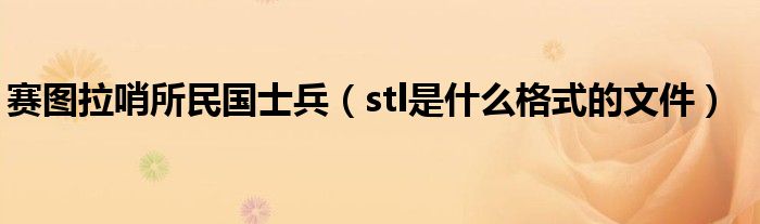赛图拉哨所民国士兵(stl是什么格式的文件)