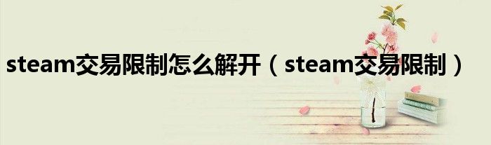 steam交易限制怎么解开(steam交易限制)